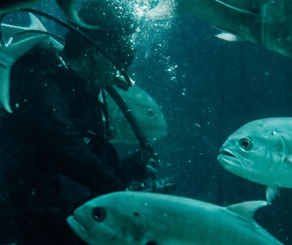 Underwater World
